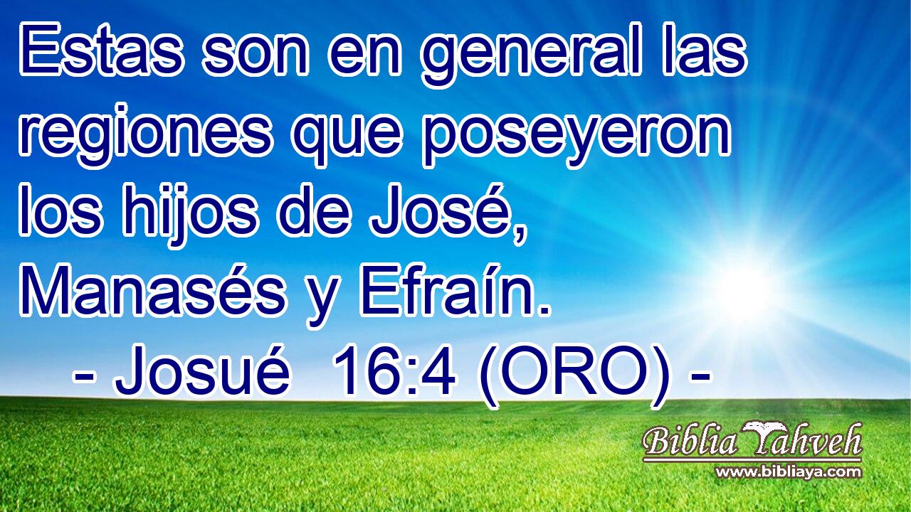  Estas son en general las regiones que poseyeron los hijos de José, Manasés y Efraín. 