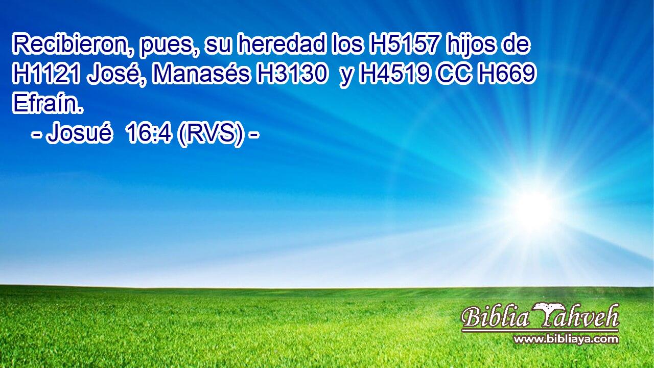 Recibieron, pues, su heredad los H5157 hijos de H1121 José, Manasés H3130  y H4519 CC H669 Efraín. 