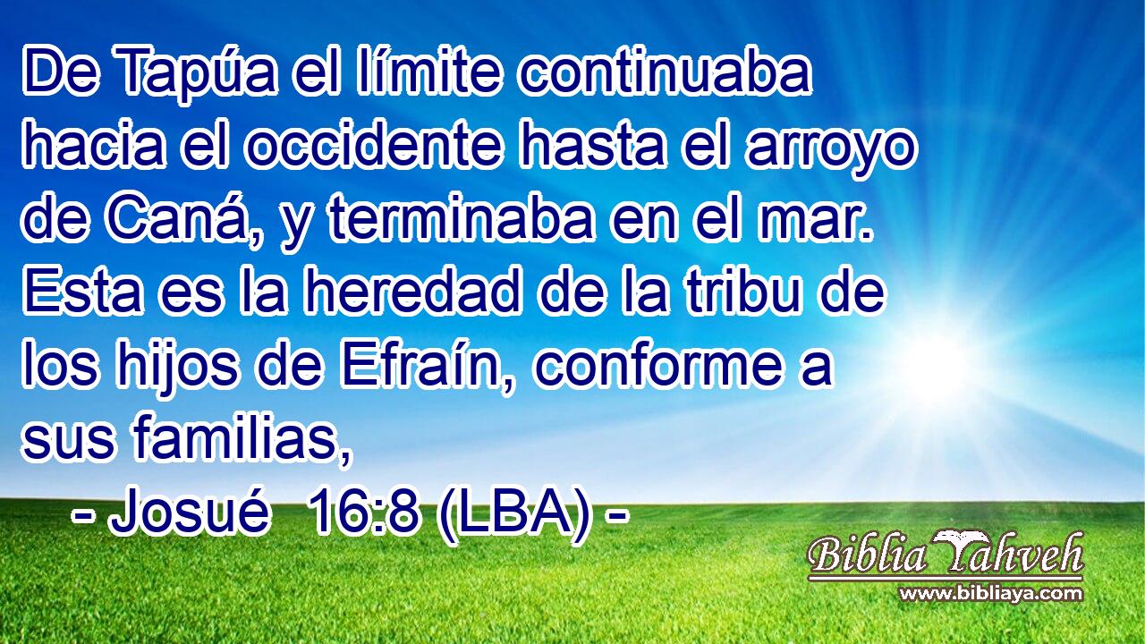 De Tapúa el límite continuaba hacia el occidente hasta el arroyo de Caná, y terminaba en el mar. Esta es la heredad de la tribu de los hijos de Efraín, conforme a sus familias,