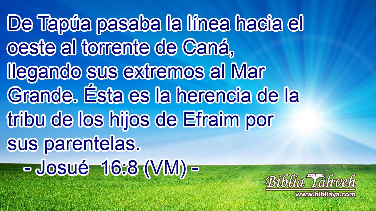  De Tapúa pasaba la línea hacia el oeste al torrente de Caná, llegando sus extremos al Mar Grande. Ésta es la herencia de la tribu de los hijos de Efraim por sus parentelas. 