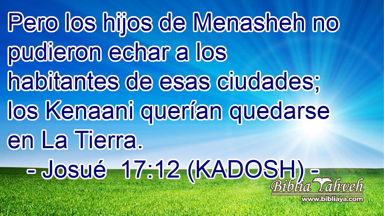  Pero los hijos de Menasheh no pudieron echar a los habitantes de esas ciudades; los Kenaani querían quedarse en La Tierra. 