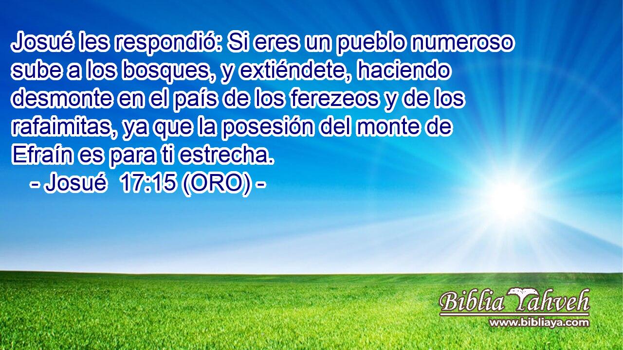  Josué les respondió: Si eres un pueblo numeroso sube a los bosques, y extiéndete, haciendo desmonte en el país de los ferezeos y de los rafaimitas, ya que la posesión del monte de Efraín es para ti estrecha. 