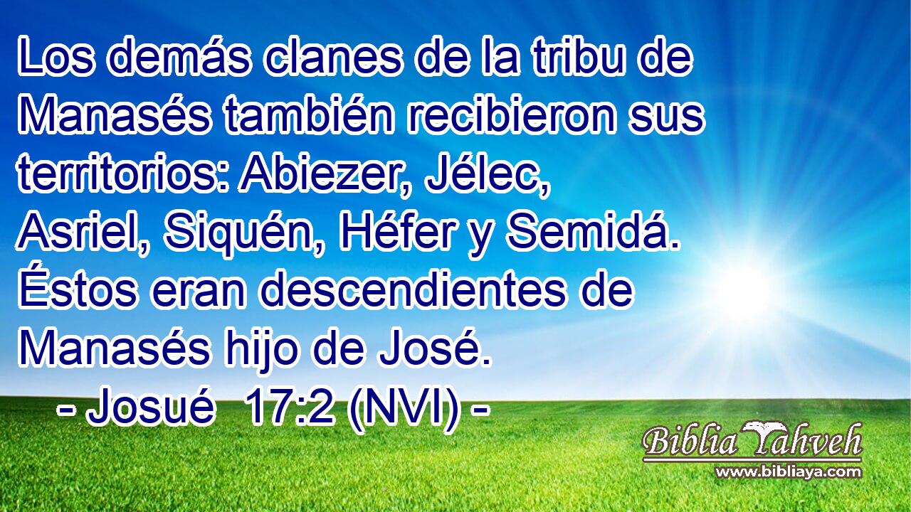  Los demás clanes de la tribu de Manasés también recibieron sus territorios: Abiezer, Jélec, Asriel, Siquén, Héfer y Semidá. Éstos eran descendientes de Manasés hijo de José. 