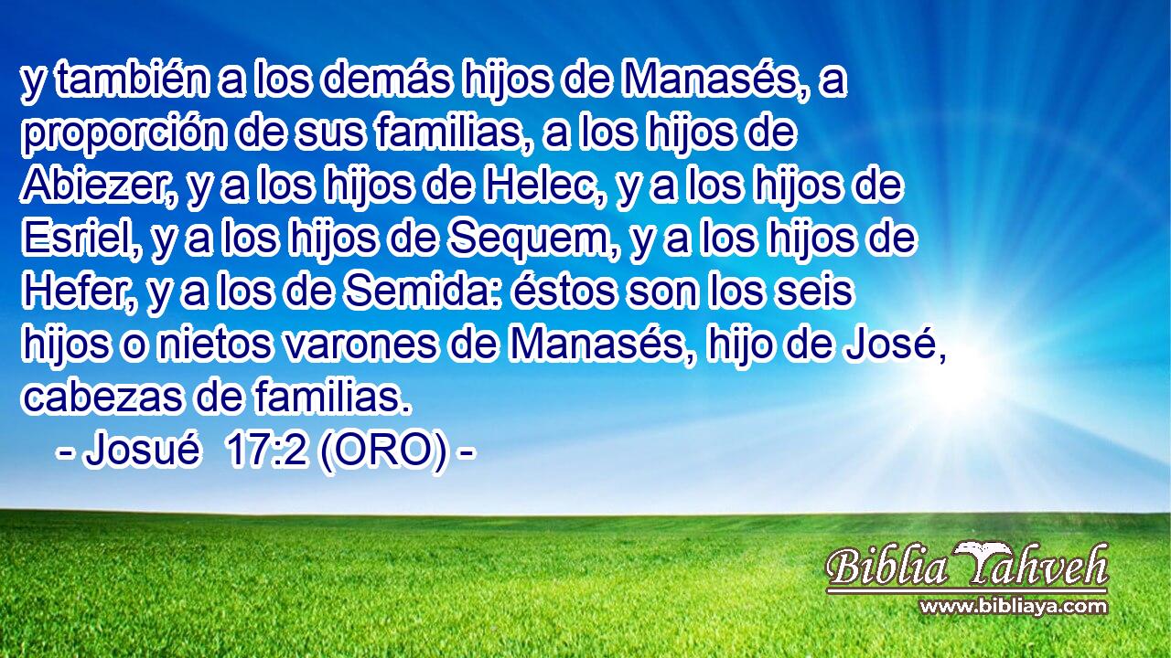  y también a los demás hijos de Manasés, a proporción de sus familias, a los hijos de Abiezer, y a los hijos de Helec, y a los hijos de Esriel, y a los hijos de Sequem, y a los hijos de Hefer, y a los de Semida: éstos son los seis hijos o nietos varones de Manasés, hijo de José, cabezas de familias. 