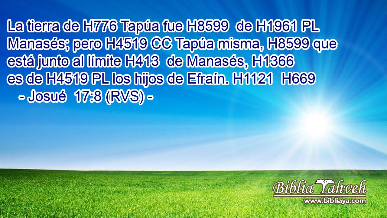 La tierra de H776 Tapúa fue H8599  de H1961 PL Manasés; pero H4519 CC Tapúa misma, H8599 que está junto al límite H413  de Manasés, H1366  es de H4519 PL los hijos de Efraín. H1121  H669 