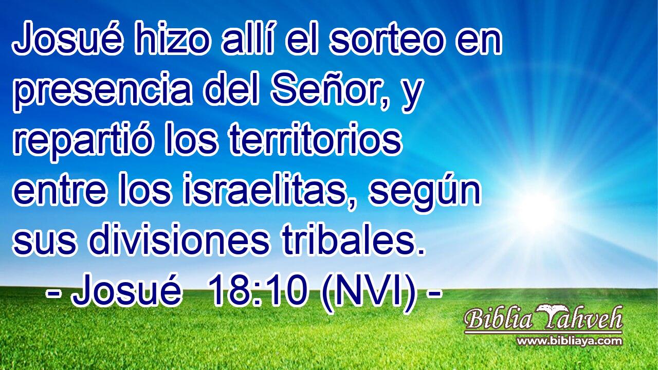  Josué hizo allí el sorteo en presencia del Señor, y repartió los territorios entre los israelitas, según sus divisiones tribales. 