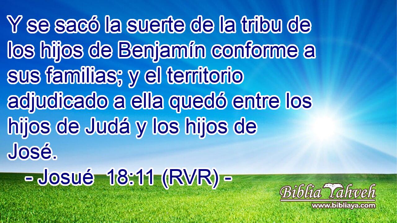 Y se sacó la suerte de la tribu de los hijos de Benjamín conforme a sus familias; y el territorio adjudicado a ella quedó entre los hijos de Judá y los hijos de José.