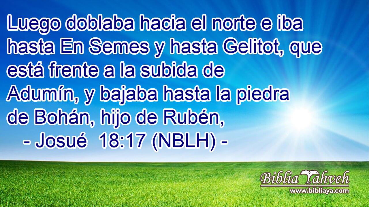  Luego doblaba hacia el norte e iba hasta En Semes y hasta Gelitot, que está frente a la subida de Adumín, y bajaba hasta la piedra de Bohán, hijo de Rubén, 