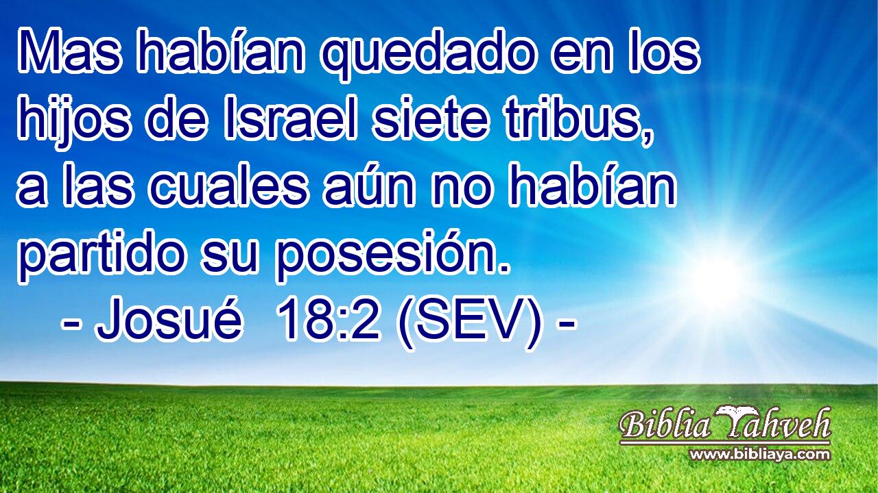 Mas habían quedado en los hijos de Israel siete tribus, a las cuales aún no habían partido su posesión.