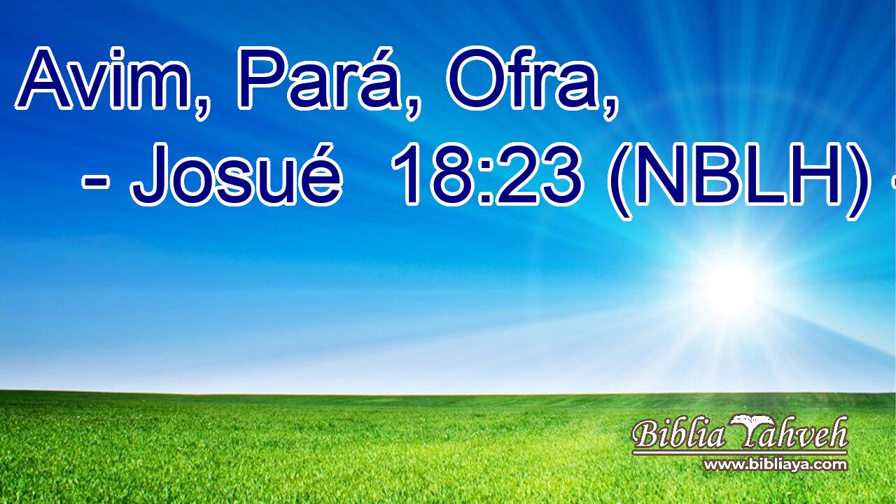  Avim, Pará, Ofra, 