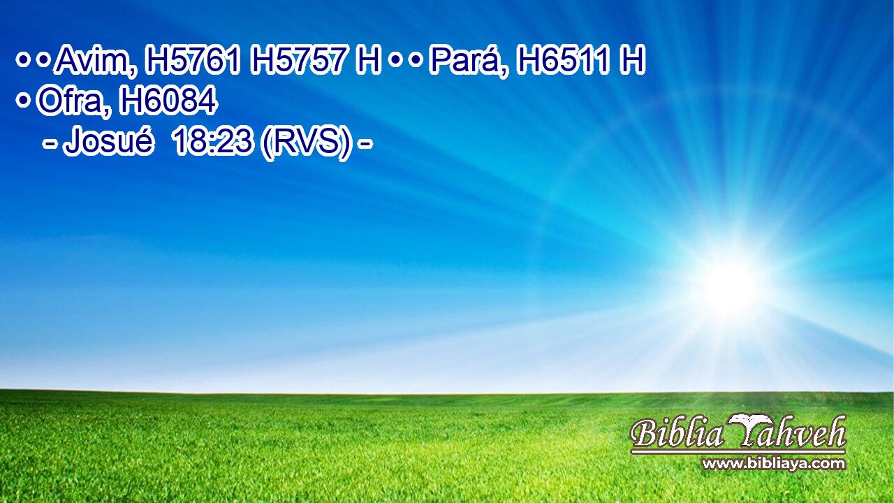 • • Avim, H5761 H5757 H • • Pará, H6511 H • Ofra, H6084  