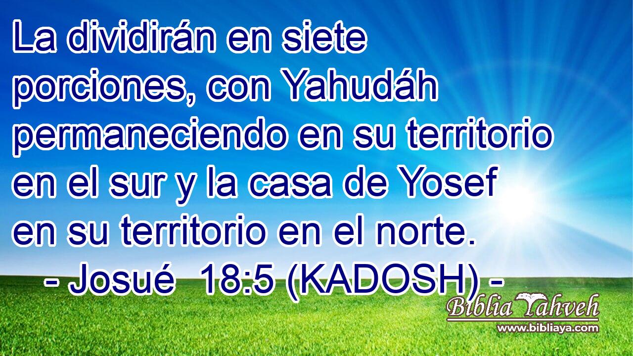  La dividirán en siete porciones, con Yahudáh permaneciendo en su territorio en el sur y la casa de Yosef en su territorio en el norte. 