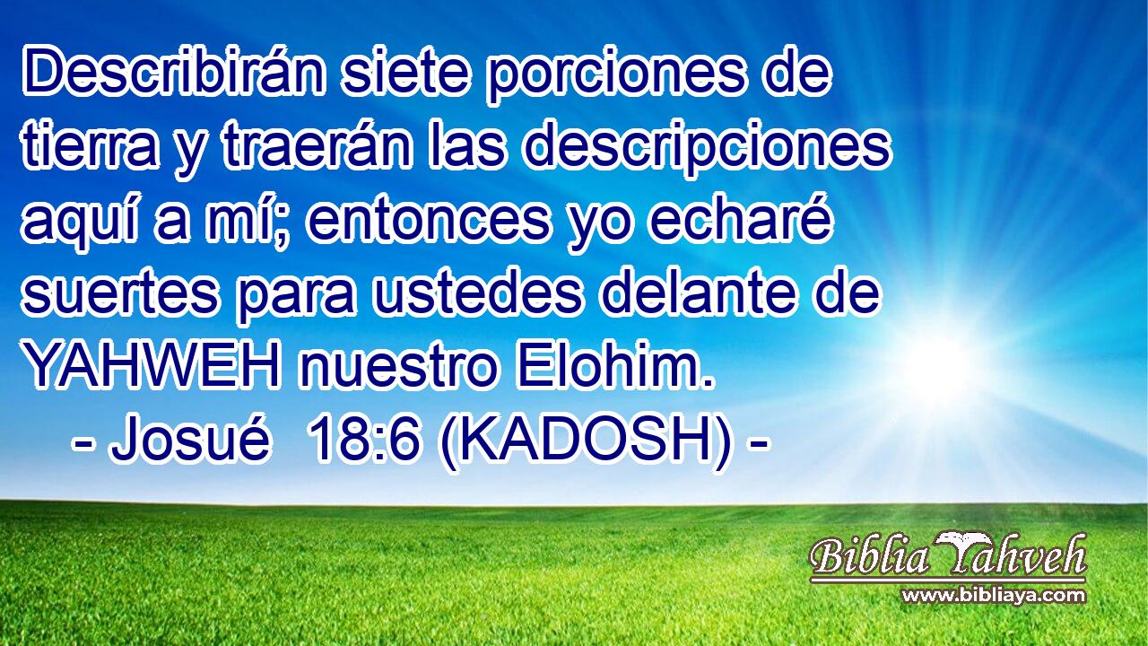  Describirán siete porciones de tierra y traerán las descripciones aquí a mí; entonces yo echaré suertes para ustedes delante de YAHWEH nuestro Elohim. 
