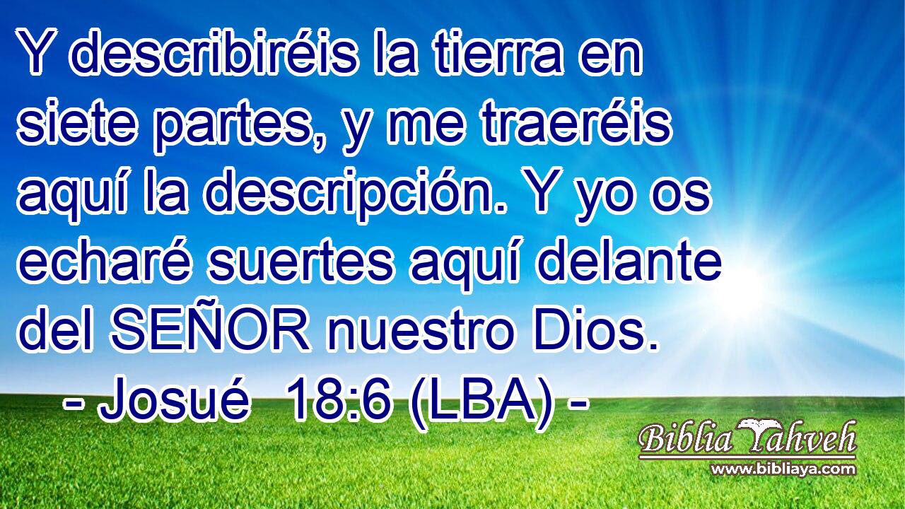 Y describiréis la tierra en siete partes, y me traeréis aquí la descripción. Y yo os echaré suertes aquí delante del SEÑOR nuestro Dios.