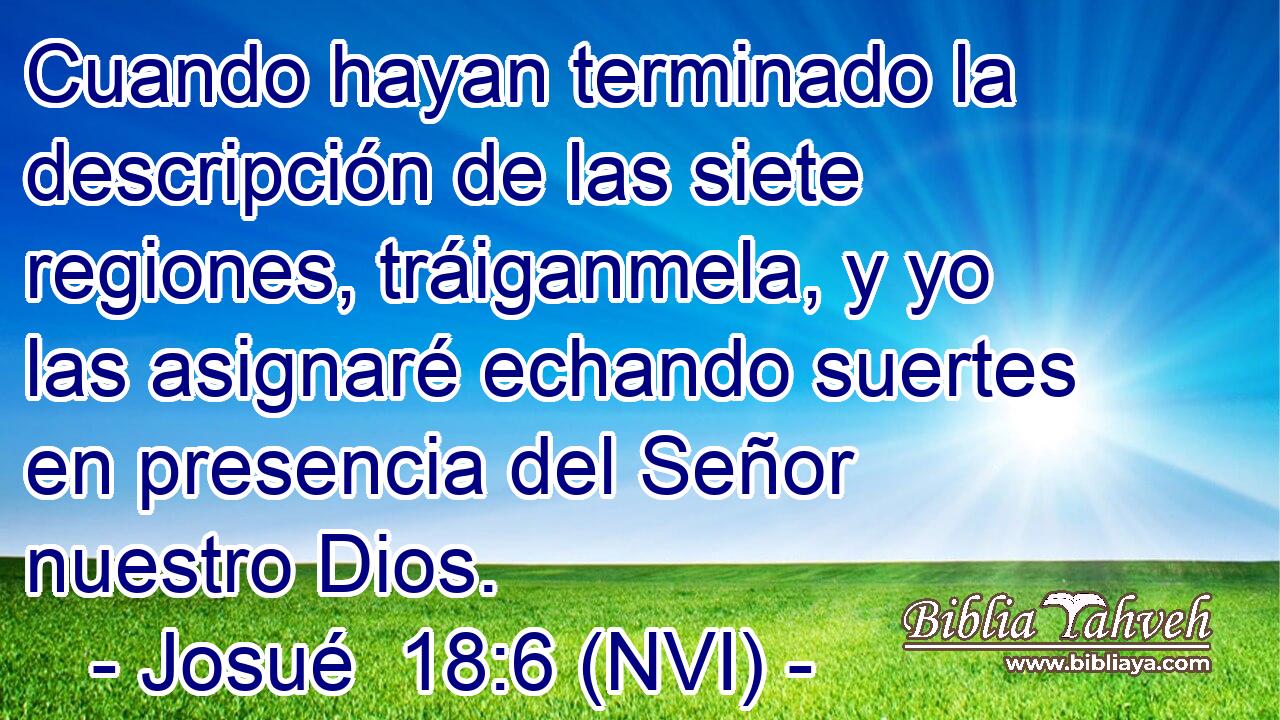  Cuando hayan terminado la descripción de las siete regiones, tráiganmela, y yo las asignaré echando suertes en presencia del Señor nuestro Dios. 