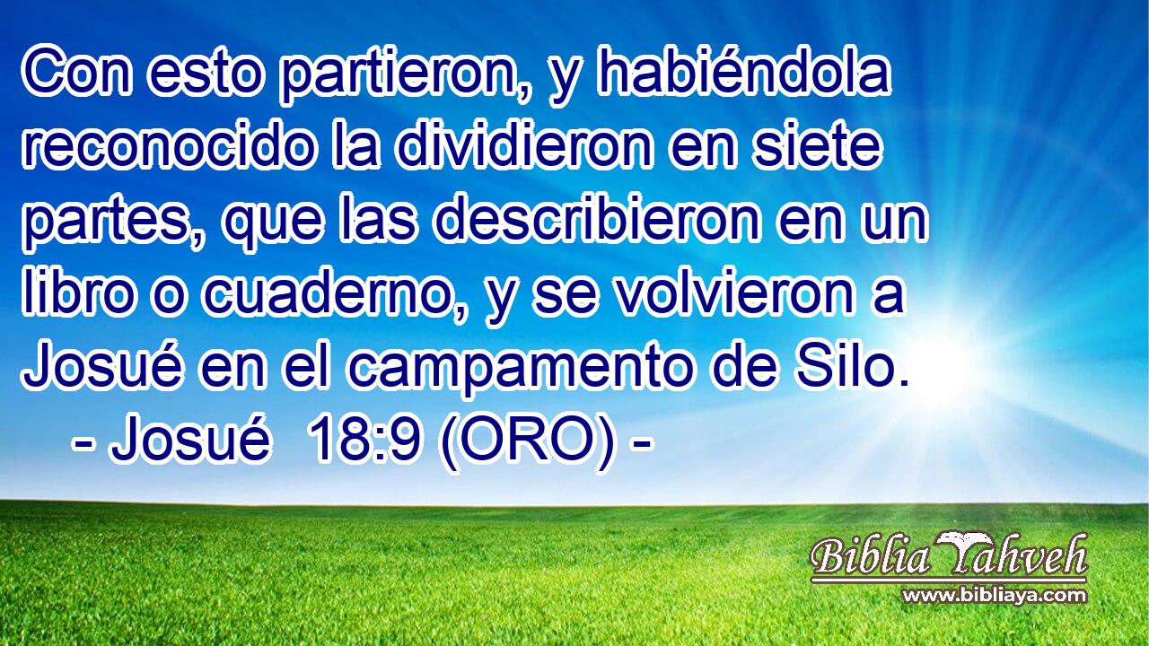  Con esto partieron, y habiéndola reconocido la dividieron en siete partes, que las describieron en un libro o cuaderno, y se volvieron a Josué en el campamento de Silo. 