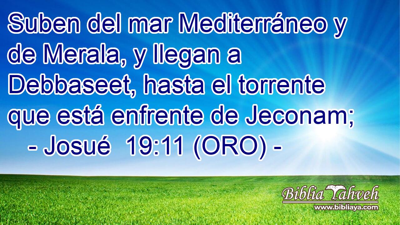  Suben del mar Mediterráneo y de Merala, y llegan a Debbaseet, hasta el torrente que está enfrente de Jeconam; 