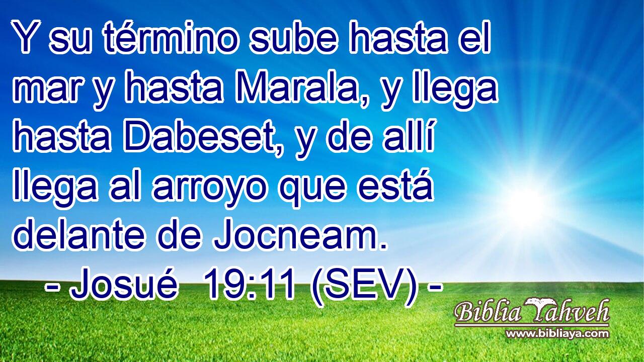 Y su término sube hasta el mar y hasta Marala, y llega hasta Dabeset, y de allí llega al arroyo que está delante de Jocneam.