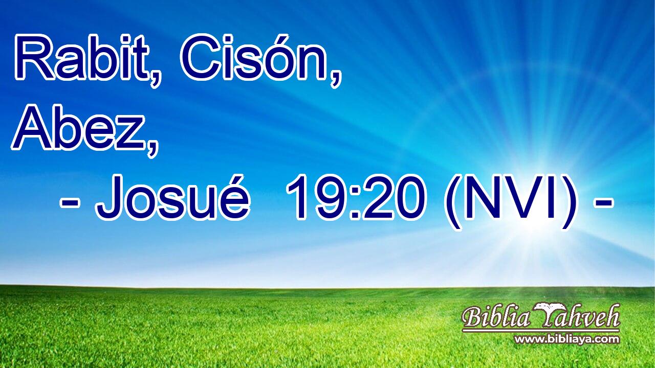  Rabit, Cisón, Abez, 