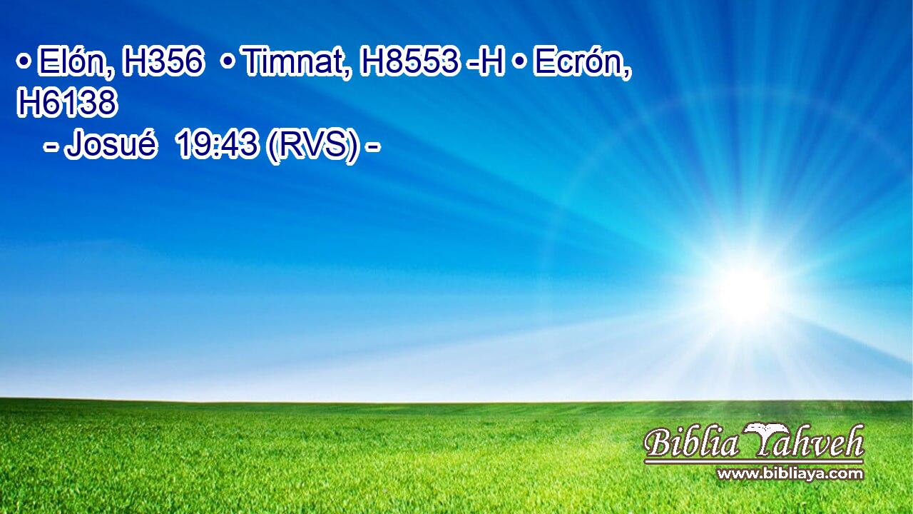 • Elón, H356  • Timnat, H8553 -H • Ecrón, H6138  