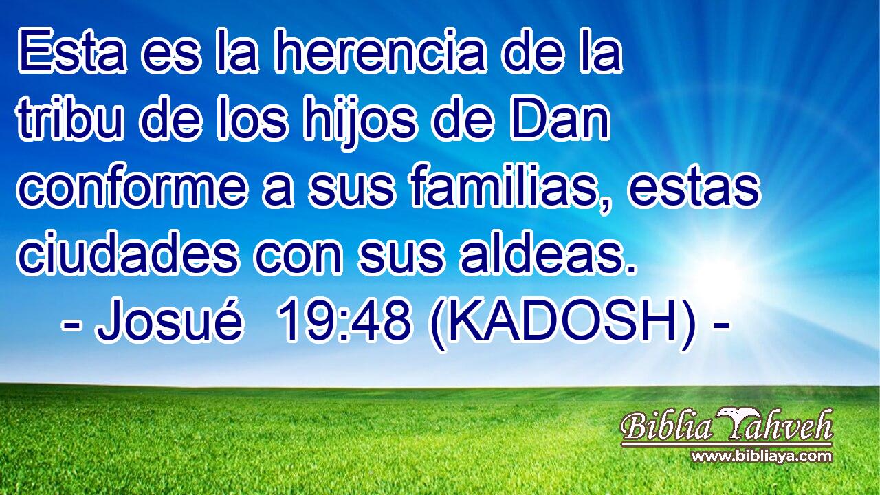  Esta es la herencia de la tribu de los hijos de Dan conforme a sus familias, estas ciudades con sus aldeas. 