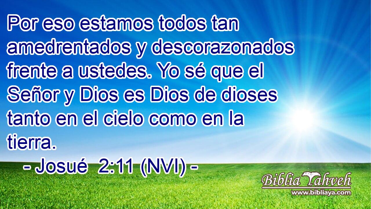  Por eso estamos todos tan amedrentados y descorazonados frente a ustedes. Yo sé que el Señor y Dios es Dios de dioses tanto en el cielo como en la tierra. 