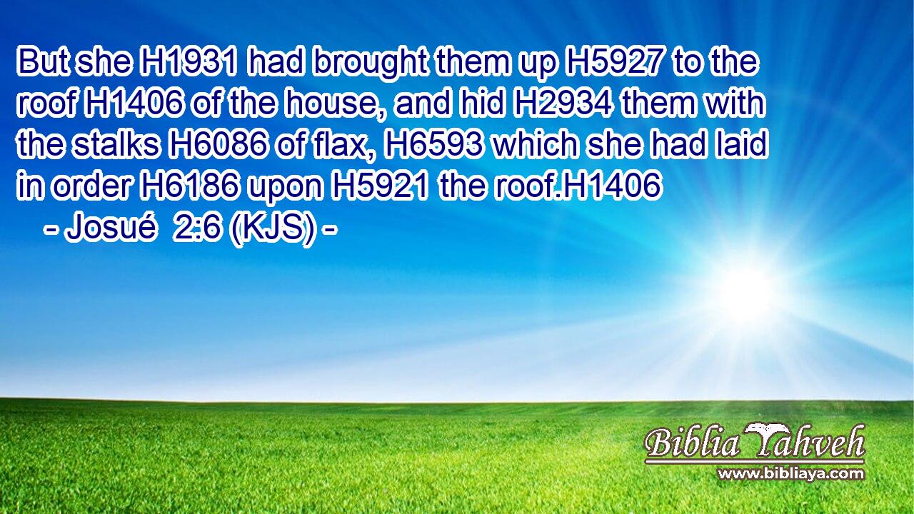But she H1931 had brought them up H5927 to the roof H1406 of the house, and hid H2934 them with the stalks H6086 of flax, H6593 which she had laid in order H6186 upon H5921 the roof.H1406