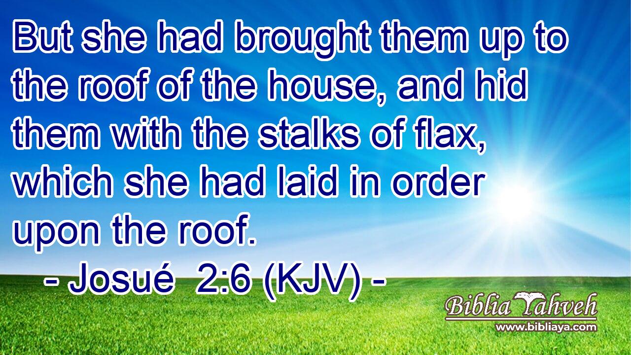 But she had brought them up to the roof of the house, and hid them with the stalks of flax, which she had laid in order upon the roof.