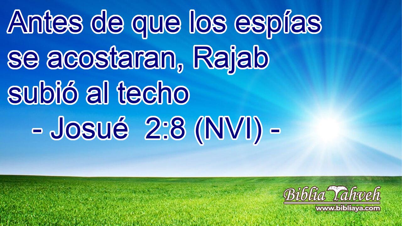  Antes de que los espías se acostaran, Rajab subió al techo 