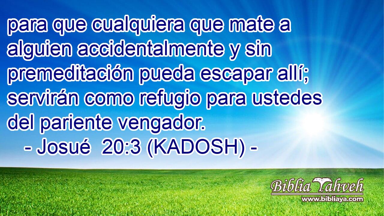  para que cualquiera que mate a alguien accidentalmente y sin premeditación pueda escapar allí; servirán como refugio para ustedes del pariente vengador. 