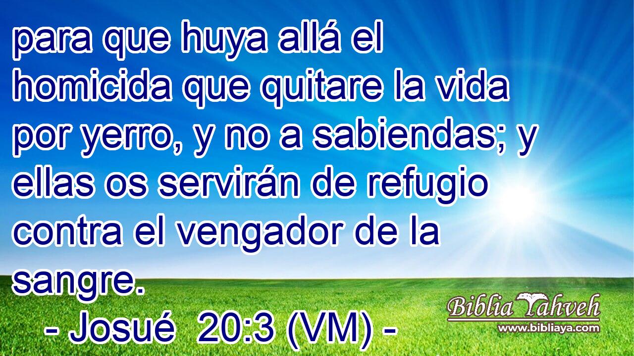  para que huya allá el homicida que quitare la vida por yerro, y no a sabiendas; y ellas os servirán de refugio contra el vengador de la sangre. 
