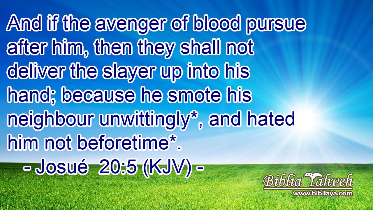 And if the avenger of blood pursue after him, then they shall not deliver the slayer up into his hand; because he smote his neighbour unwittingly*, and hated him not beforetime*.