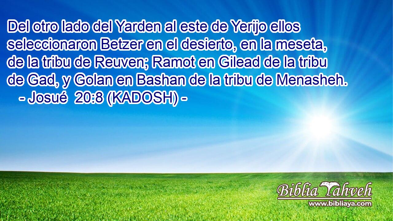  Del otro lado del Yarden al este de Yerijo ellos seleccionaron Betzer en el desierto, en la meseta, de la tribu de Reuven; Ramot en Gilead de la tribu de Gad, y Golan en Bashan de la tribu de Menasheh. 