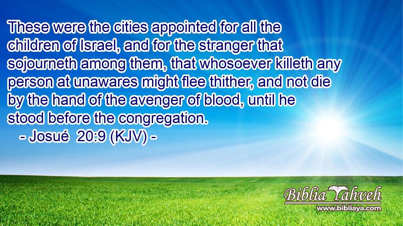 These were the cities appointed for all the children of Israel, and for the stranger that sojourneth among them, that whosoever killeth any person at unawares might flee thither, and not die by the hand of the avenger of blood, until he stood before the congregation.