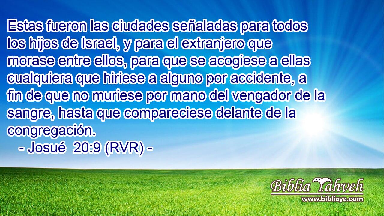 Estas fueron las ciudades señaladas para todos los hijos de Israel, y para el extranjero que morase entre ellos, para que se acogiese a ellas cualquiera que hiriese a alguno por accidente, a fin de que no muriese por mano del vengador de la sangre, hasta que compareciese delante de la congregación.