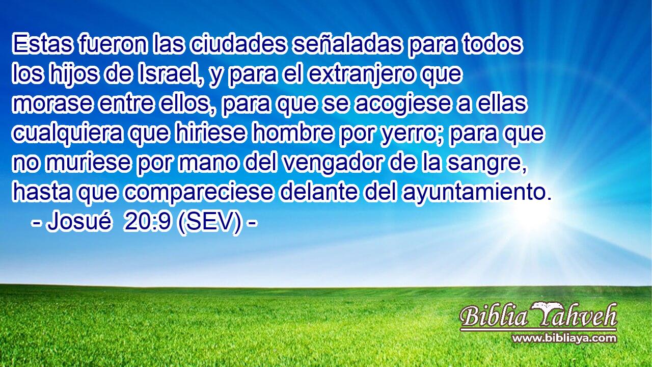 Estas fueron las ciudades señaladas para todos los hijos de Israel, y para el extranjero que morase entre ellos, para que se acogiese a ellas cualquiera que hiriese hombre por yerro; para que no muriese por mano del vengador de la sangre, hasta que compareciese delante del ayuntamiento.