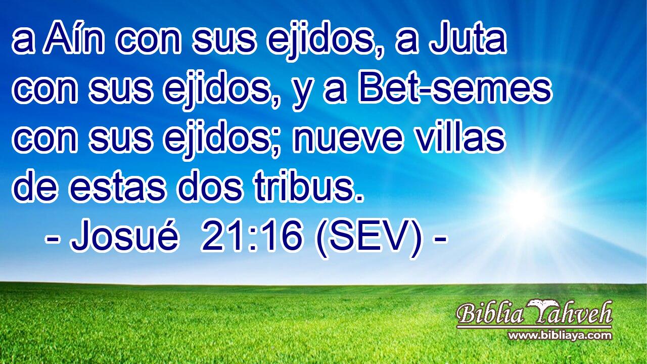 a Aín con sus ejidos, a Juta con sus ejidos, y a Bet-semes con sus ejidos; nueve villas de estas dos tribus.