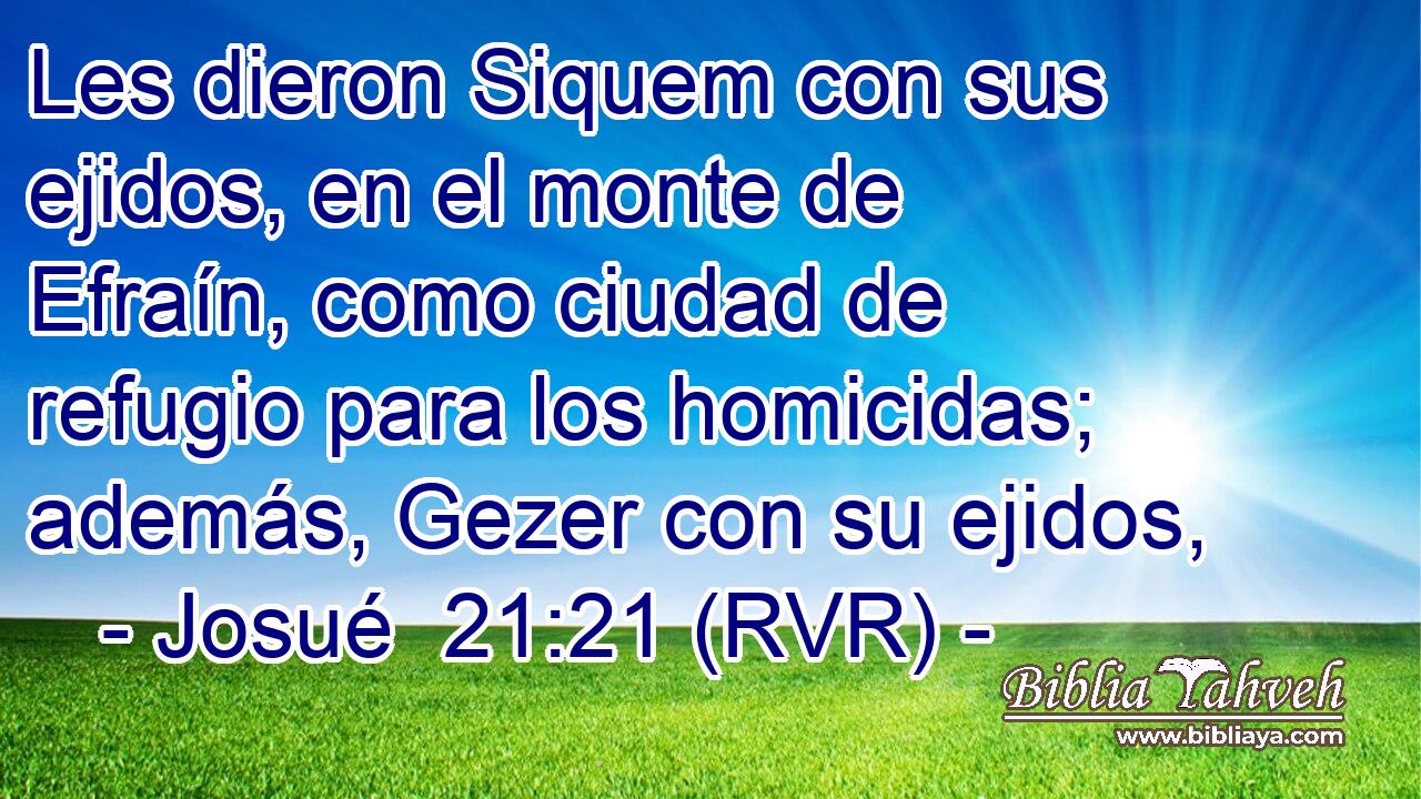 Les dieron Siquem con sus ejidos, en el monte de Efraín, como ciudad de refugio para los homicidas; además, Gezer con su ejidos,