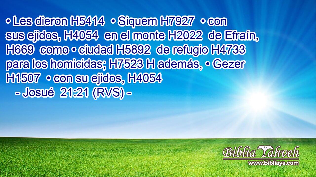 • Les dieron H5414  • Siquem H7927  • con sus ejidos, H4054  en el monte H2022  de Efraín, H669  como • ciudad H5892  de refugio H4733  para los homicidas; H7523 H además, • Gezer H1507  • con su ejidos, H4054  