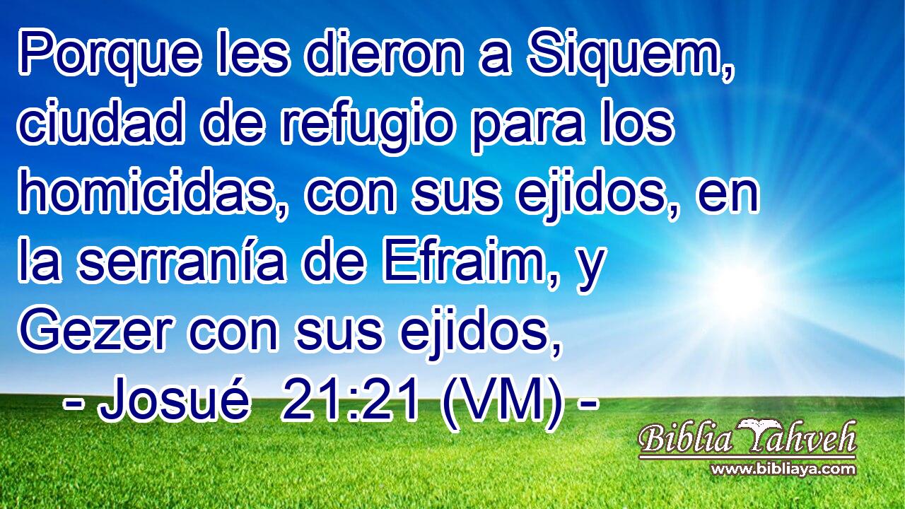  Porque les dieron a Siquem, ciudad de refugio para los homicidas, con sus ejidos, en la serranía de Efraim, y Gezer con sus ejidos, 