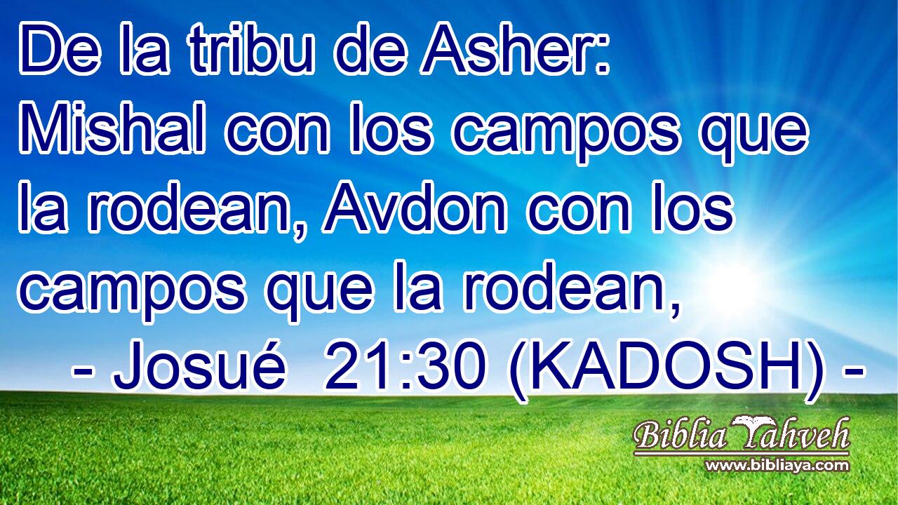  De la tribu de Asher: Mishal con los campos que la rodean, Avdon con los campos que la rodean, 
