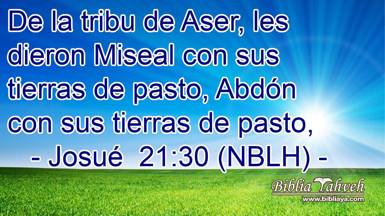  De la tribu de Aser, les dieron Miseal con sus tierras de pasto, Abdón con sus tierras de pasto, 