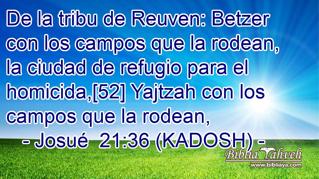  De la tribu de Reuven: Betzer con los campos que la rodean, la ciudad de refugio para el homicida,[52] Yajtzah con los campos que la rodean, 