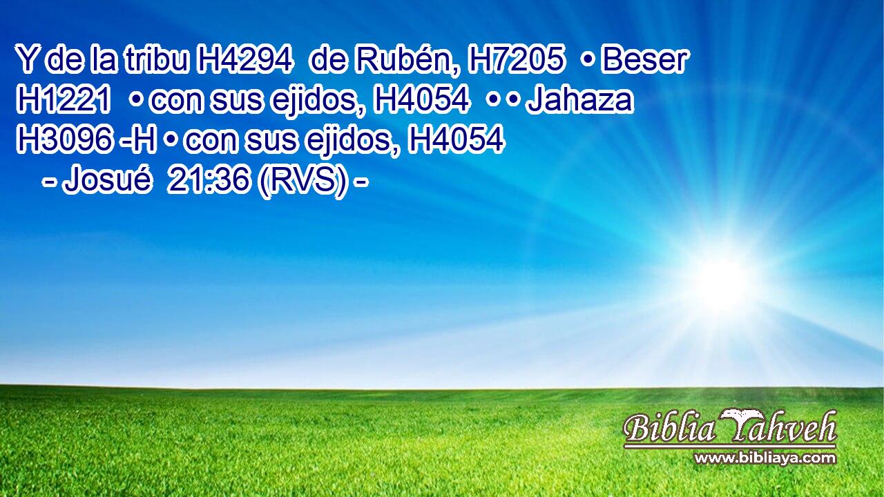 Y de la tribu H4294  de Rubén, H7205  • Beser H1221  • con sus ejidos, H4054  • • Jahaza H3096 -H • con sus ejidos, H4054  