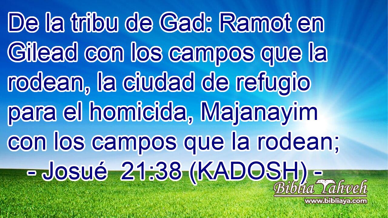  De la tribu de Gad: Ramot en Gilead con los campos que la rodean, la ciudad de refugio para el homicida, Majanayim con los campos que la rodean; 