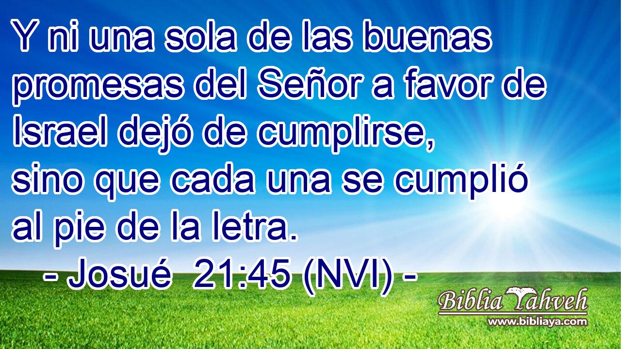  Y ni una sola de las buenas promesas del Señor a favor de Israel dejó de cumplirse, sino que cada una se cumplió al pie de la letra. 