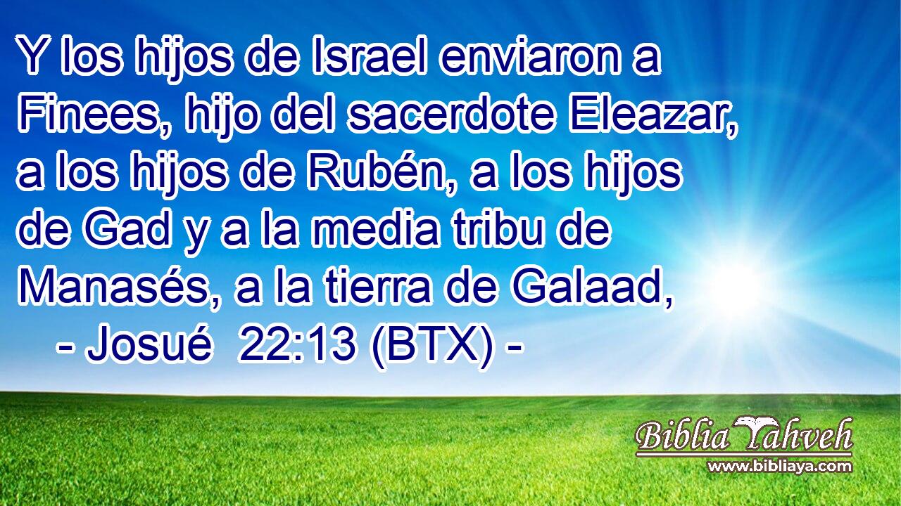 Y los hijos de Israel enviaron a Finees, hijo del sacerdote Eleazar, a los hijos de Rubén, a los hijos de Gad y a la media tribu de Manasés, a la tierra de Galaad,