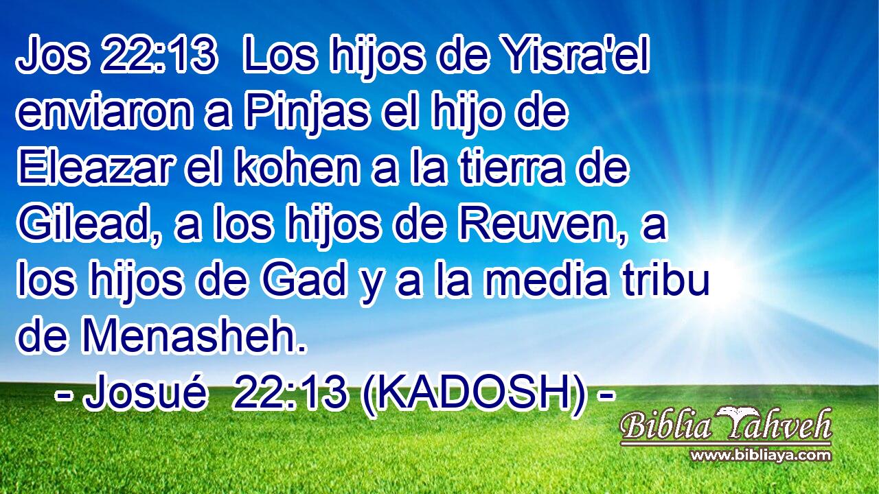  Los hijos de Yisra'el enviaron a Pinjas el hijo de Eleazar el kohen a la tierra de Gilead, a los hijos de Reuven, a los hijos de Gad y a la media tribu de Menasheh. 