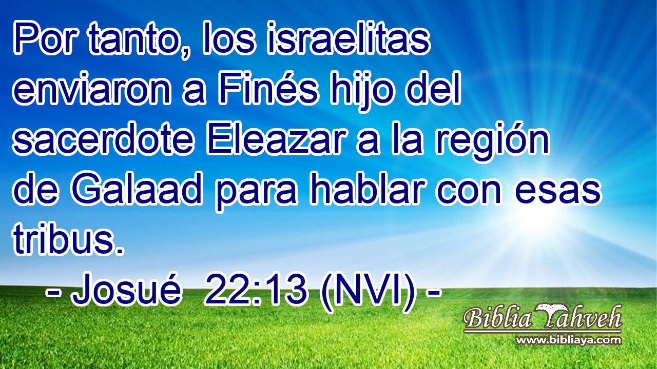  Por tanto, los israelitas enviaron a Finés hijo del sacerdote Eleazar a la región de Galaad para hablar con esas tribus. 