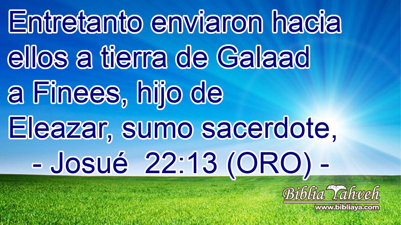  Entretanto enviaron hacia ellos a tierra de Galaad a Finees, hijo de Eleazar, sumo sacerdote, 